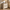 22-Inch Wide Natural Oak-Look Nightstand with Charging Station and 2 Drawers