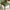 2-Pack Green PVC Dining Chairs with Fine Wave Stitch Detailing