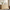 [Pre-sale] Travertine Fluted 9-Drawer Dresser, Natural