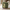 [Pre-Sale] 31.8" Wide-Seat Swivel Accent Chairs - 360° Upholstered in Green
