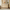 [Pre-sale] Travertine Fluted 9-Drawer Dresser, Natural