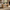 43" Coffee Table with Storage, Modern Center Table with Open Shelf in Natural