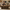 43" Coffee Table with Storage, Modern Center Table with Open Shelf in Walnut