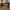 43" Coffee Table with Storage, Modern Center Table with Open Shelf in Walnut