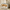 FlexMod 62.1" Modular Cat Tree with Cozy Cat House, Sisal Posts