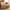 Arlo 35" Lift Top Coffee Table, Modern Wood Coffee Table with Storage