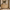 52.8 Natural Wood Rounded 6 Drawer Dresser 04 Main