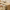 [Pre-sale] 57.1" Modern 6-Drawer Dresser, Curved Light Wood, Spacious Storage, Elevated Leg Design
