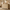 [Pre-sale] 57.1" Modern 6-Drawer Dresser, Curved Light Wood, Spacious Storage, Elevated Leg Design
