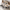 Pale rounded dining table is set for four among gray upholstered chairs