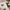 51.2" Round Sintered Stone Extendable Dining Table, Seats 4–6