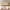 [Pre-Sale] 63" 9-Drawer Dresser with Thick Top and Round Legs