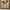 Caly Modern 53.2" 6 Drawer Dresser, Fluted Wood Storage Cabinet