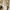 FlexMod 47.6" Multi-Level Cat Tree with Sisal Scratching Posts & Faux Marble Base