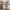 Arch 65" TV Stand with Cable Management, Beige Oak