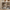 Arch 65" TV Stand with Cable Management, Beige Oak