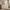 Arch 60" 4-Door Sideboard with Adjustable Shelf, Beige Oak