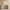 Arch 60" 4-Door Sideboard with Adjustable Shelf, Beige Oak