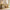 Arlo 48" Wood Console Table with LED Light ＆ Open Storage Shelf