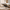 Elara Queen Lift-Up Storage Bed Frame with Adjustable Headboard, Brown