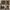 [Pre-sale] Harmo Block 3-Tier Modular Bookshelf, Walnut Wood