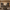 [Pre-sale] Harmo Block 31" Arched Fluted Accent Cabinet Storage Cabinet, Walnut Wood