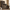 [Pre-sale] Harmo Block 31" Arched Fluted Accent Cabinet Storage Cabinet, Walnut Wood