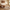 Queen Size Upholstered Platform Bed Frame – Boucle Wingback Headboard