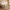 Queen Size Upholstered Platform Bed Frame – Boucle Wingback Headboard