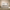 Queen Size Upholstered Platform Bed Frame – Boucle Wingback Headboard