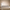 Queen Size Upholstered Platform Bed Frame – Boucle Wingback Headboard