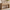 [Pre-Sale] 59" Console Table with 2 Drawers, Narrow Entryway Sofa Table with Rounded Corners for Living Room