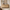 55.9 Inch 6 Drawer Dresser for Bedroom Chest of Drawers with Handleless Smooth Glide Drawers Natural Oak