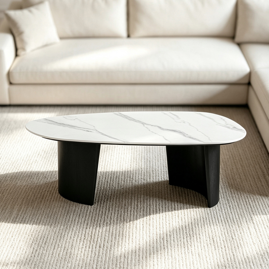 [Pre-Sale] Modern Oval Sintered Stone Coffee Table with Curved Black Ash Veneer Base