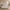 Veneeray Queen Suede Upholstered Wingback Bed Frame with Curved Valley Headboard