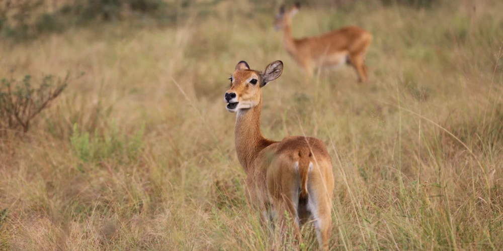 6 Day safari plus Zanzibar Island tour itinerary