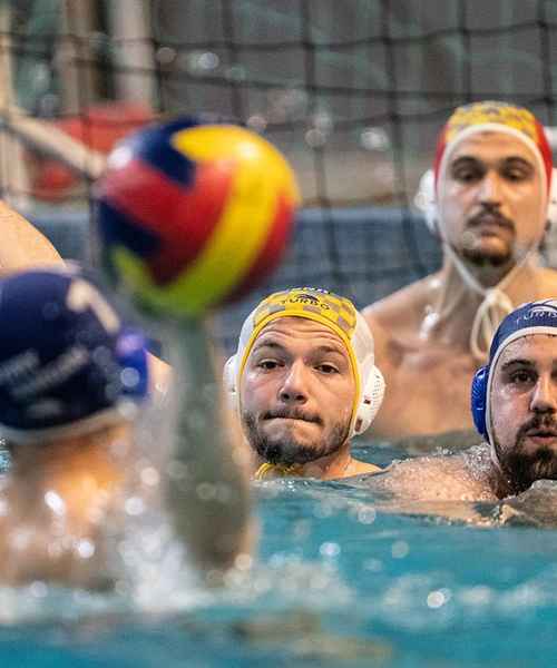 Championnats de water-polo