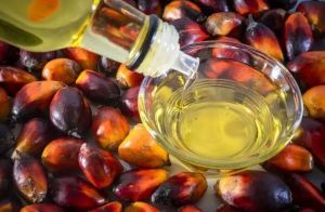 Palm Oil Image