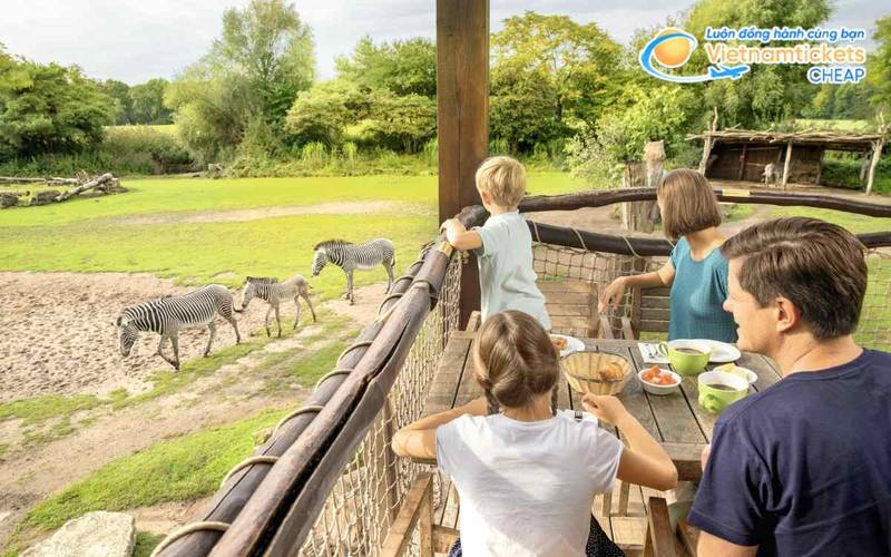 Ghé thăm vườn thú Leipzig