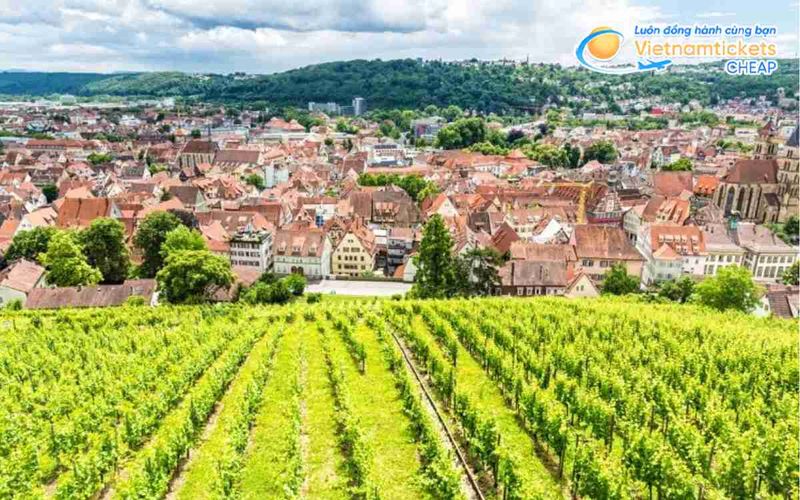 Khí hậu mùa hè Stuttgart dễ chịu