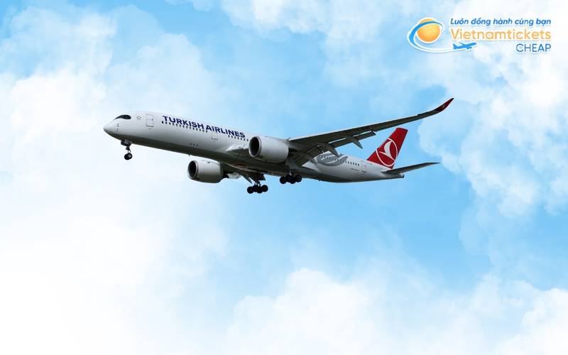 Turkish Airlines là hãng bay đi Mannheim có giá hợp lý