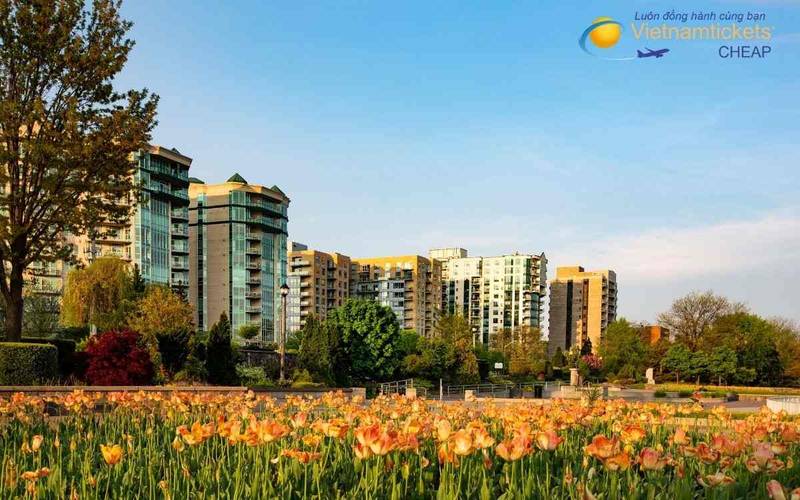 Liên hệ tư vấn và đặt vé máy bay đi Windsor