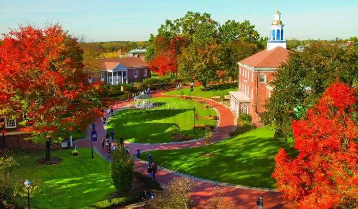 Đại học Western New England