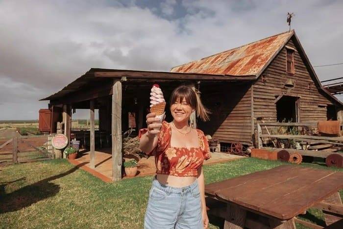 Du khách có thể mua vé máy bay đi Bundaberg vào các thời điểm khác nhau