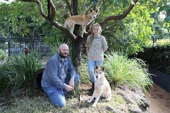 Alexandra Park Zoo