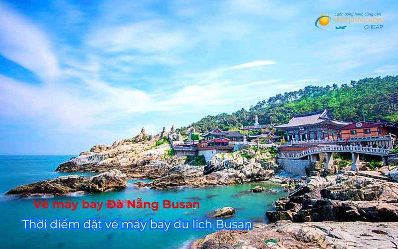 Thời điểm đặt vé máy bay du lịch Busan