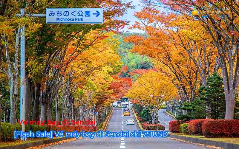 [Flash Sale] Vé máy bay đi Sendai chỉ 75 USD