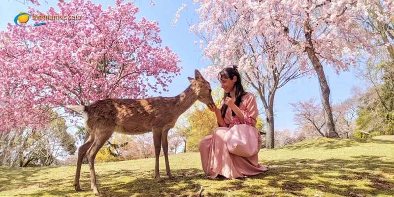 Công viên Nara Park