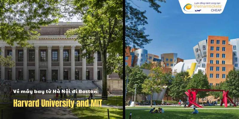 Harvard University and MIT
