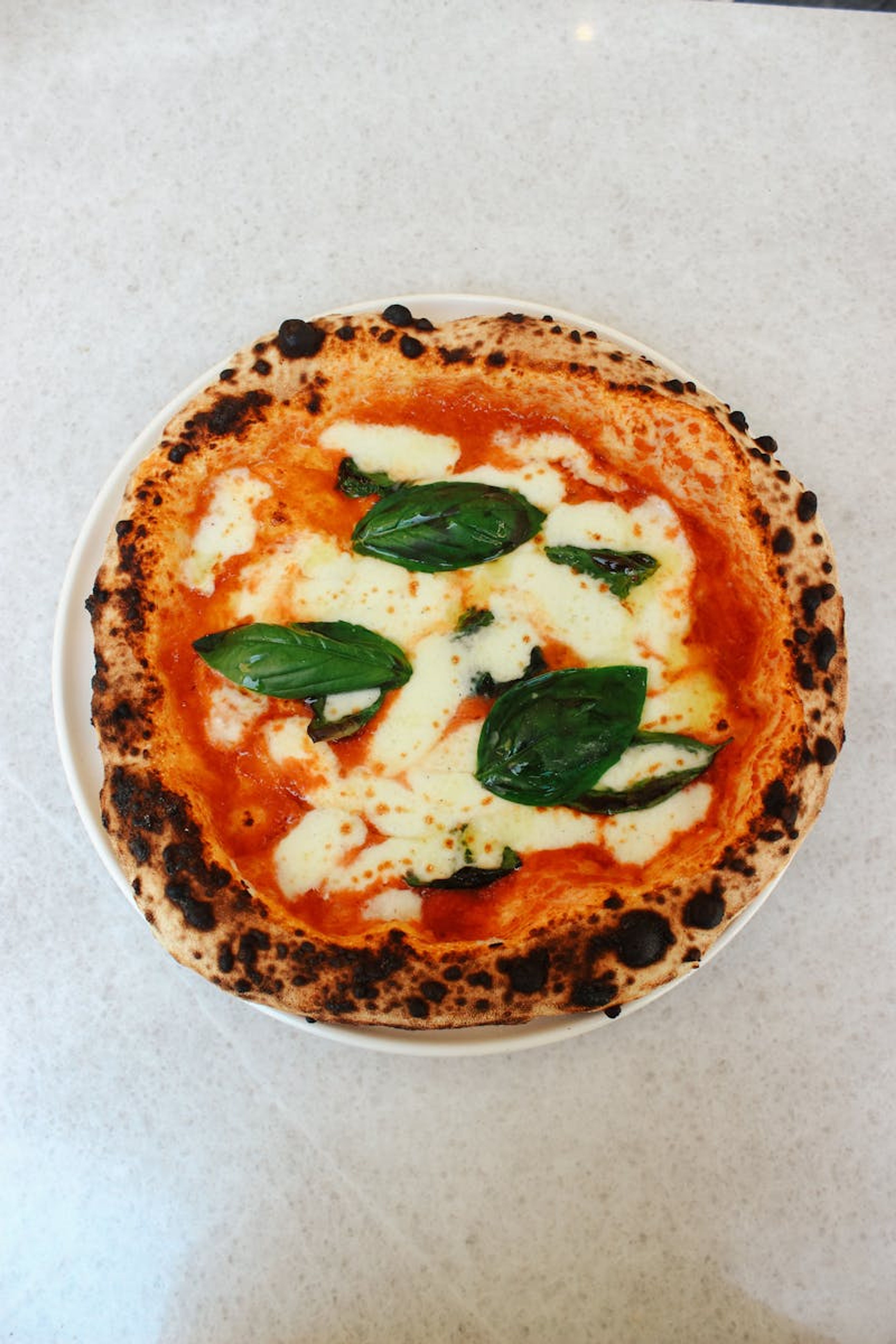 Pizza artesanal con rodajas de mozzarella fresca y hojas de albahaca.